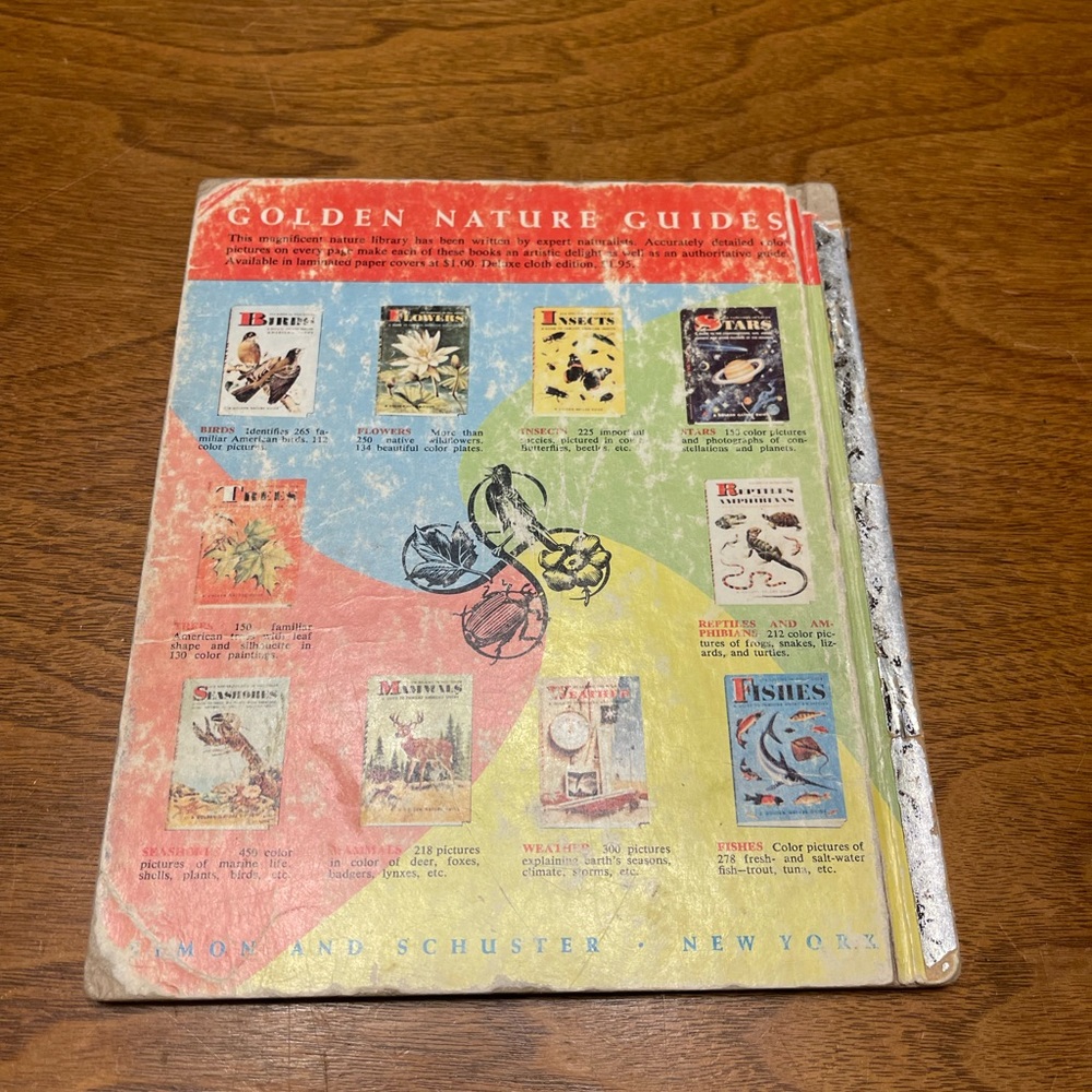 Vintage Golden Book Lot Tarzan 1964 Lady 1954 Rin Tin Tin and Rusty 1955 - Picture 13 of 13